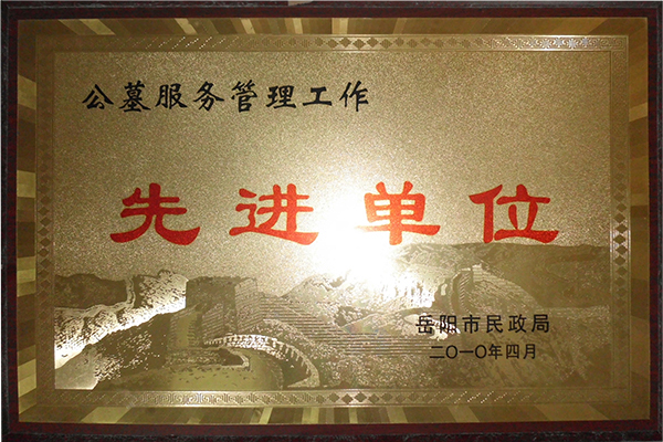 2010年岳阳市民政局先进单位