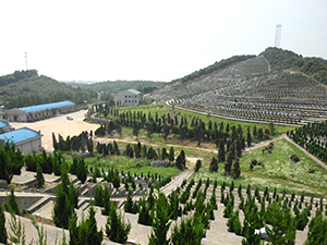 龙王山公墓全景